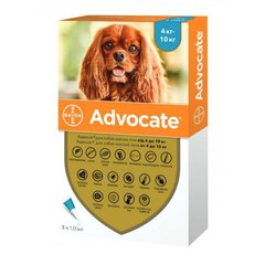 Advocate (Адвокат) краплі для собак вагою від 4 до 10 кг,1 піпетка (Bayer)