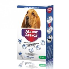 KRKA Ataxxa (Атакса) Spot On краплі від бліх та кліщів для собак від 25 кг